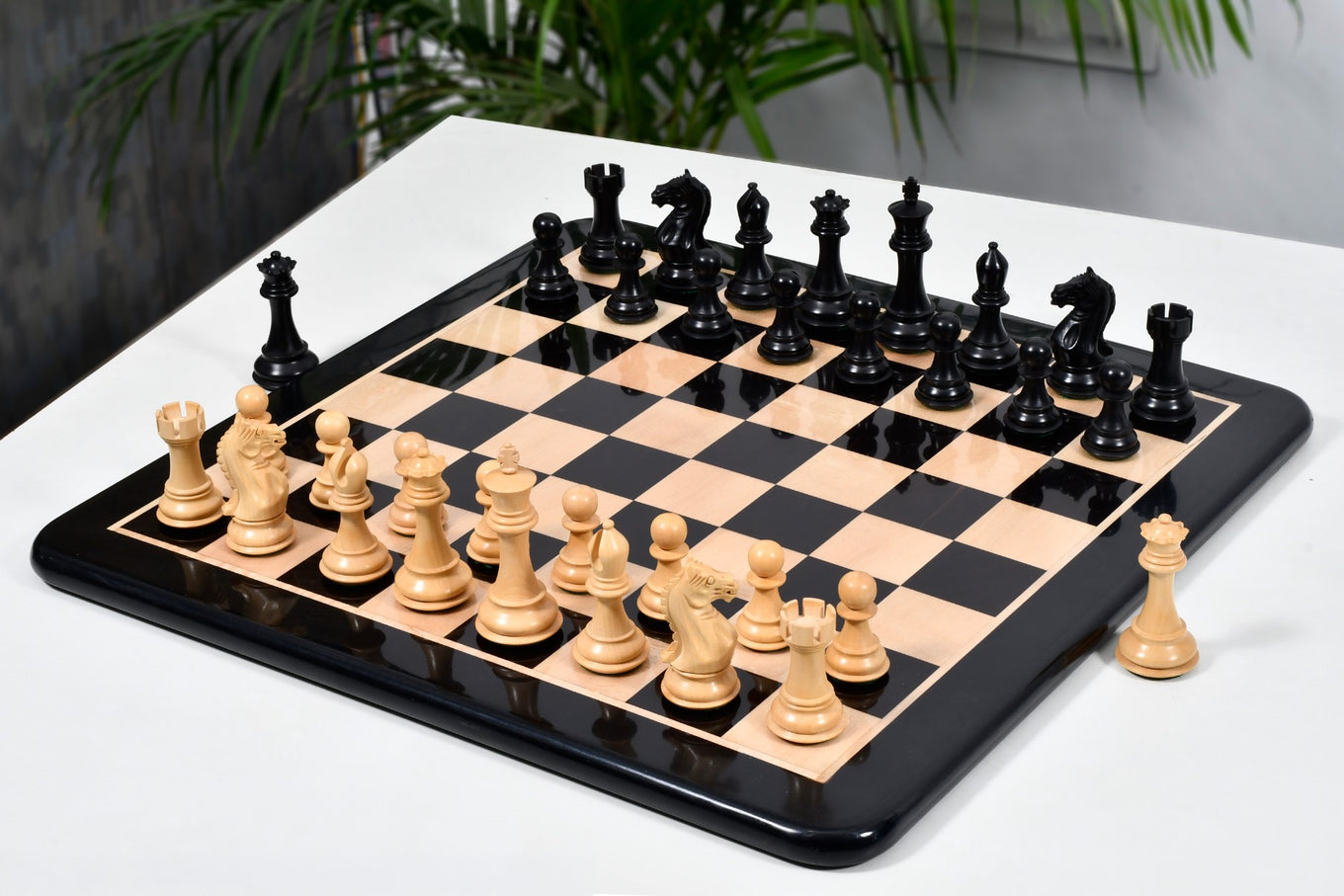 Fierce Knight Chess Pieces in Ebonized Boxwood 4.0" King with Board
