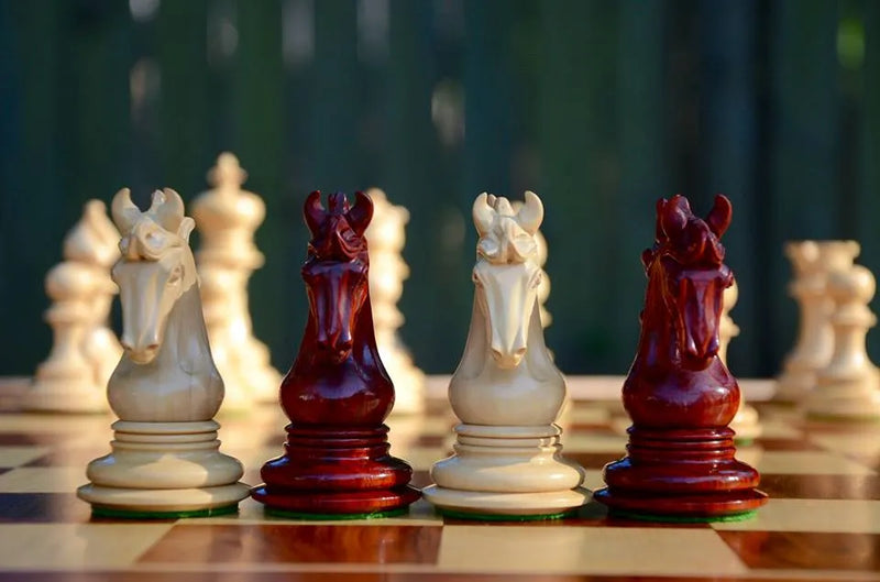 Rediscovering Chess at Work: Andy's Story from New York | CHESSBAZAAR