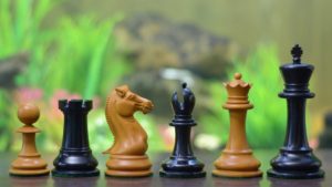 5 Reasons Why Collecting Chess Sets is a Good Idea?