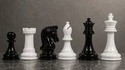 Imperial Collector Chess Pieces Black & White Painted 3.75" - Slightly Imperfect | CHESSBAZAAR
