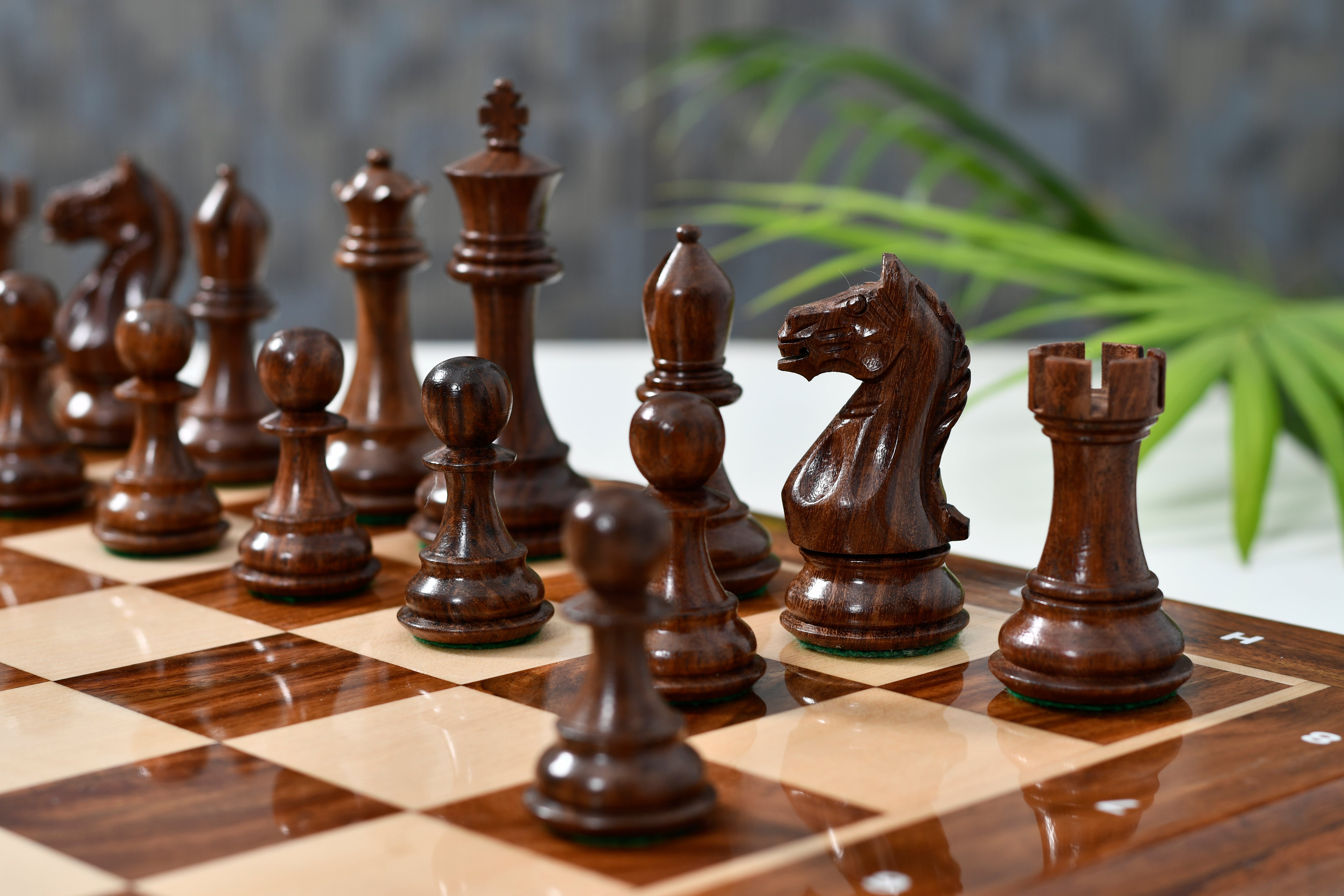 Fierce Knight Staunton Chess Pieces in Sheesham & Boxwood 4.0" King
